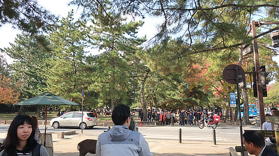 Crowds at an intersection at Deer Park in Nara.