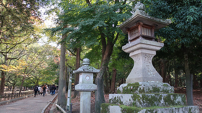 Stone lanterns along a pathway in Nara's Deer Park in Japan.