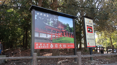 Signs giving directions and information for one of the park's many shrines.