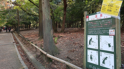 Important instructions for visitors to Deer Park on the expected ettiquette for feeding deer.