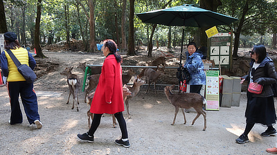 A stall that sells food for deer, surrounded by interested parties.