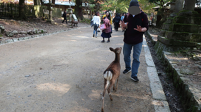 John holds up his hands to show a deer he has no food to give them.