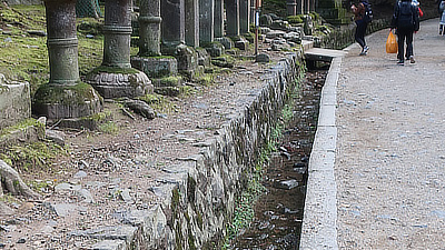 A row of stone lanterns. 