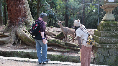 John and a friend take pictures of a friendly deer.