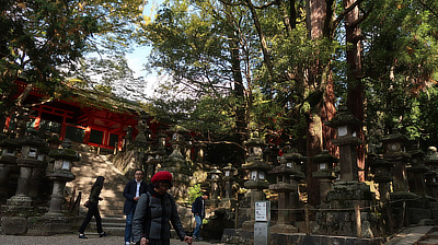 Stone steps leading up to one of the park's temples.