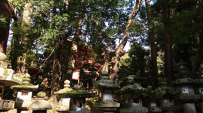 Part of a shrine, visible through trees.