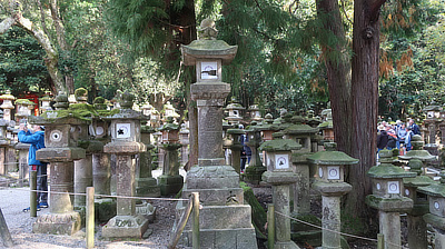 Several stone lanterns along the stairs leading to a shrine.