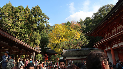 Trees around the shrine, against a blue sky.