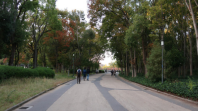 A walkway through the Castle park.