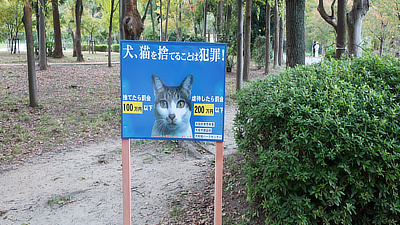 We weren't sure what this sign wanted to tell us about cats, but it felt strongly about it. 