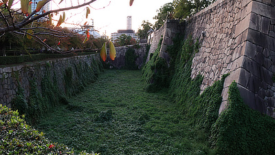 Part of the moat that has grown over with moss and vines.