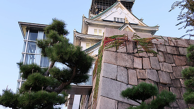 Looking up at the vines on the outer walls of Osaka Castle.