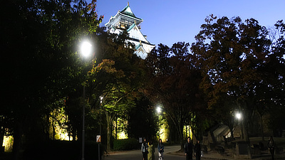 A view of the Osaka Castle through surrounding trees at night.