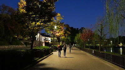 Walking through Osaka Castle Park at night.