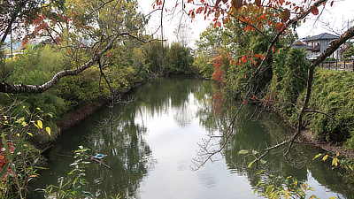 Some of the water surrounding Sasayama Castle.