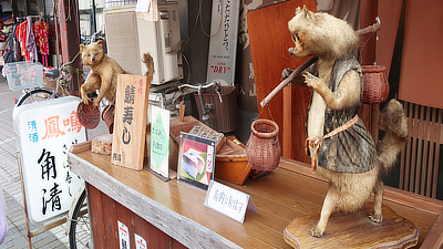 Preserved tanuki figures.