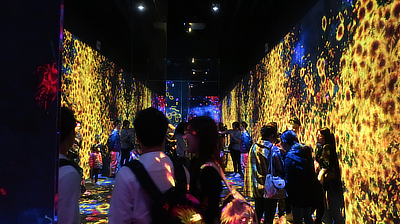 People take pictures along a hallway in the "Forest of Flowers and People" exhibit.