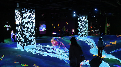 A digital whale cruises through the "Graffiti Nature" area.