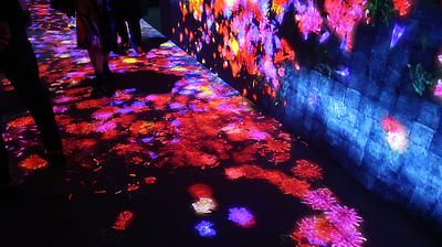 A hallway through the "Forest of Flowers and People" exhibit.