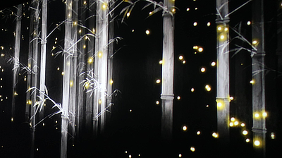 A hallway lit by wandering fireflies in the Digital Art Museum.