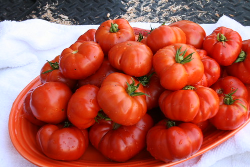 Smoked tomatoes right out of the smoker.