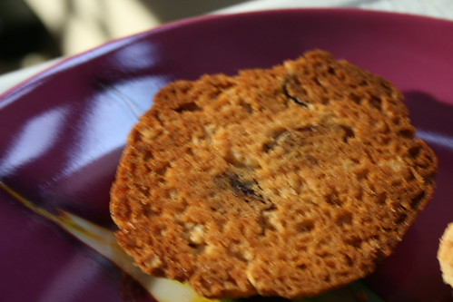 Bottom of cranberry crunch cookie third cookie, second batch.