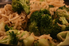 Broccoli Noodles with Garlic and Soy Close Up