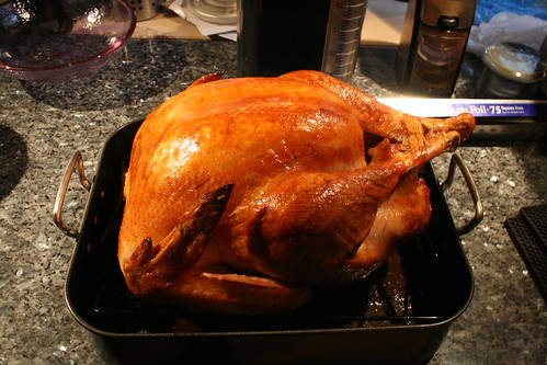 Roasted turkey, side view