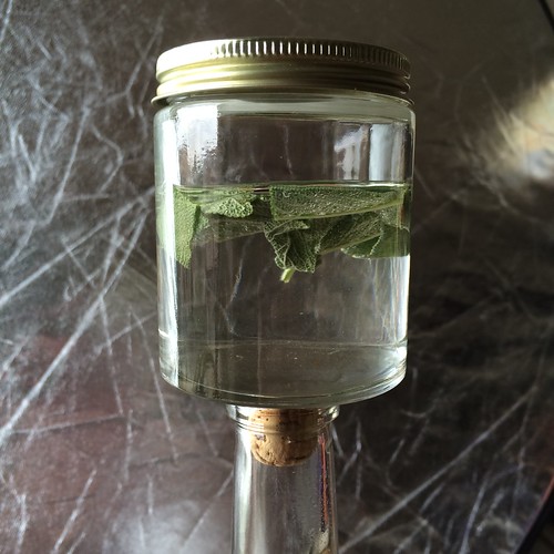 Several sage leaves in a few ounces of mezcal.