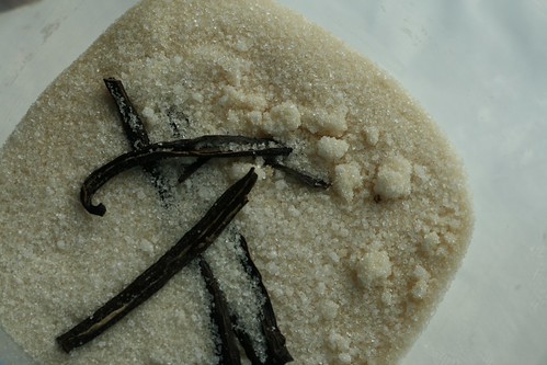Empty vanilla bean pods in sugar.