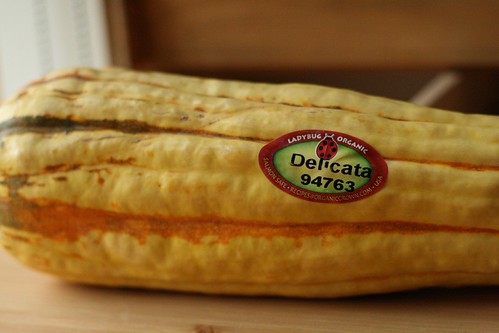 A close-up of delicata squash.