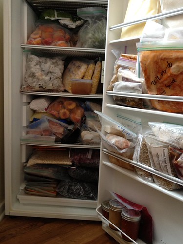 Freezer - 18 Jan 2013