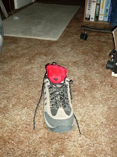 Bear. Shoe. One is in the other. What more do you need?????