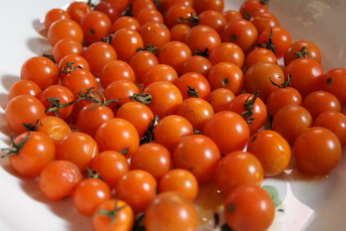 Sungold cherry tomatoes.