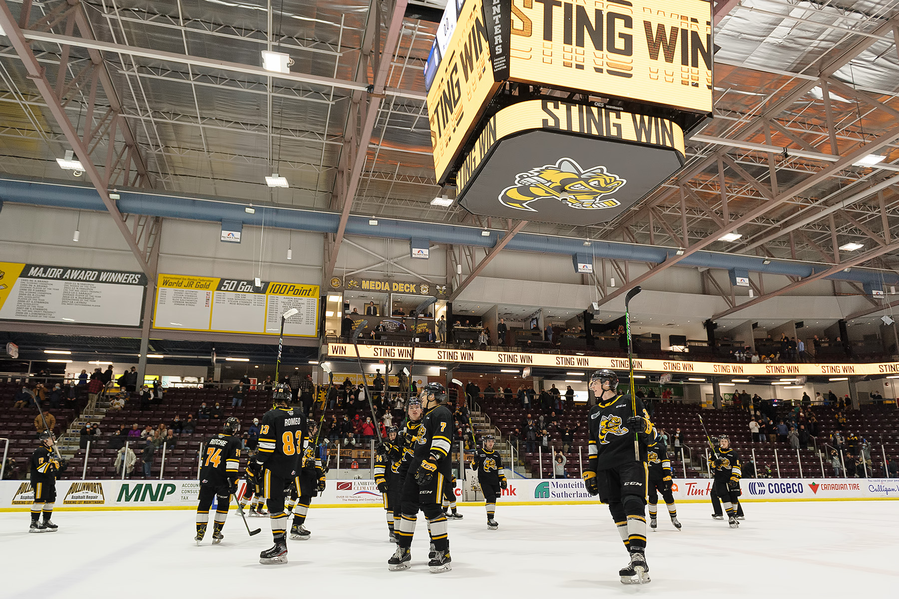 Sarnia city hall, OHL's Sting face-off over arena agreement