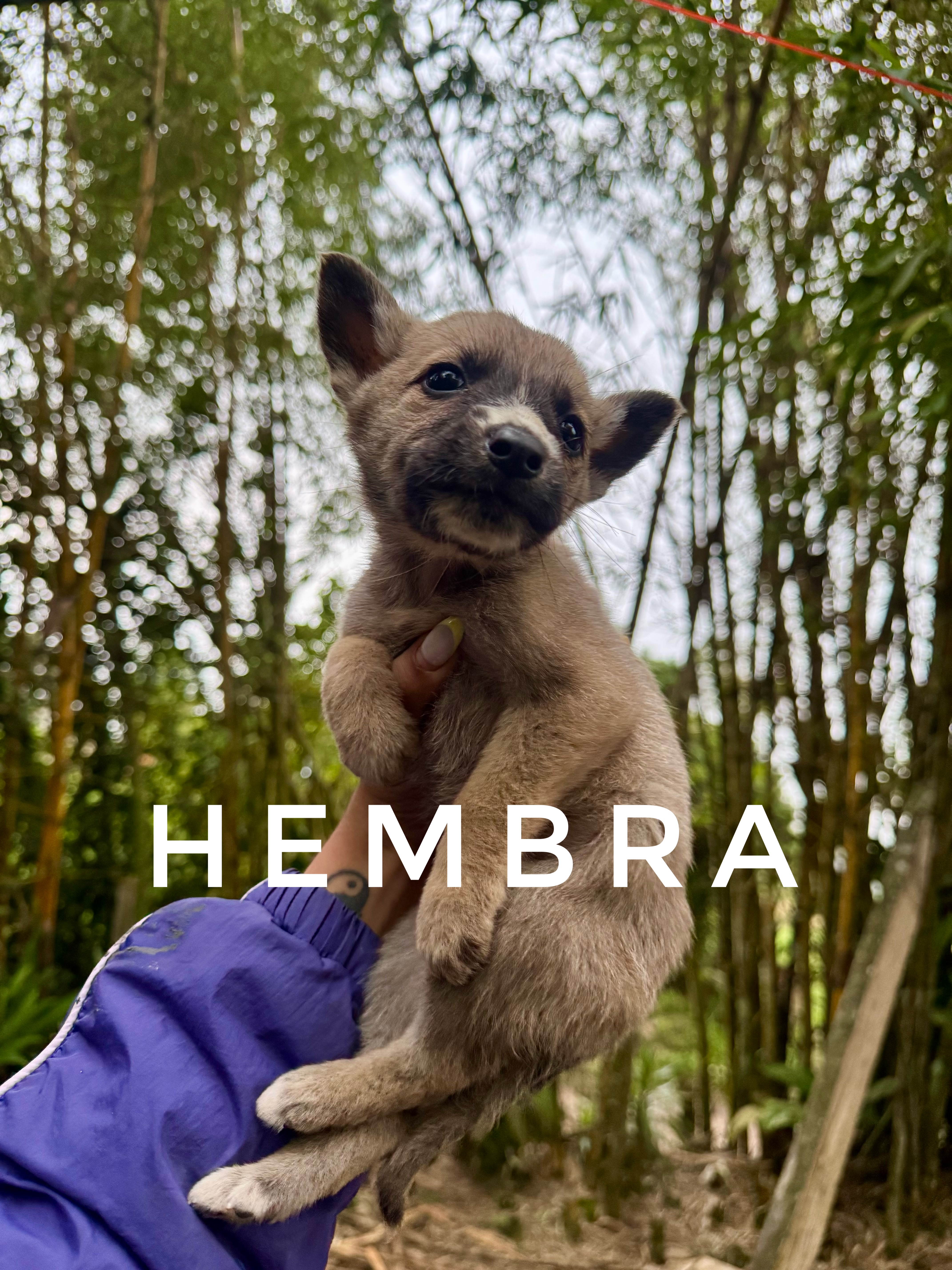 Foto de Bebe