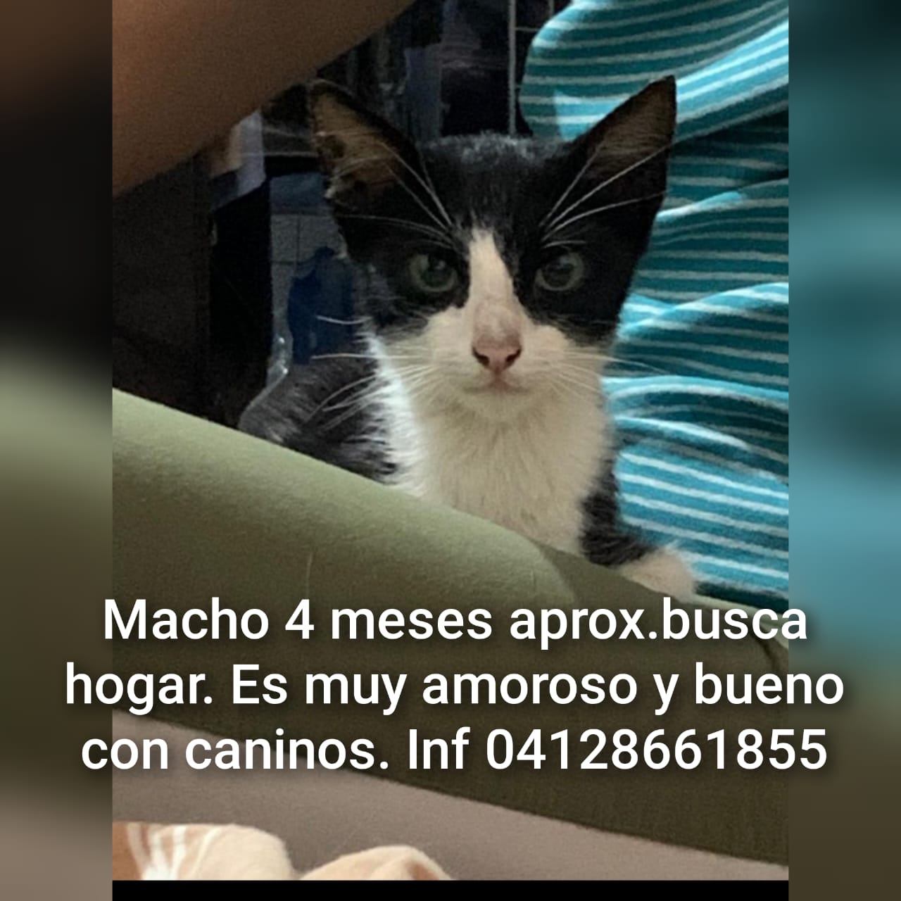 Foto de No indicó