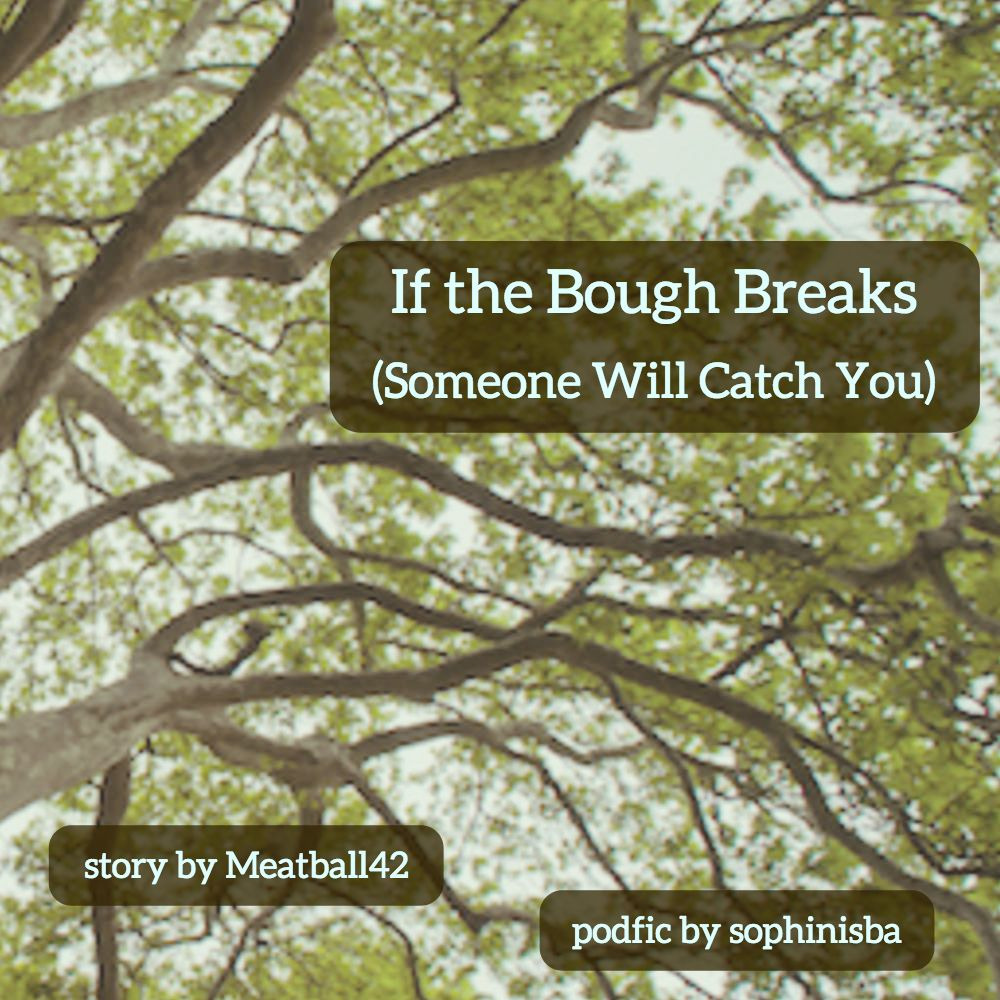 If the Bough Breaks cover