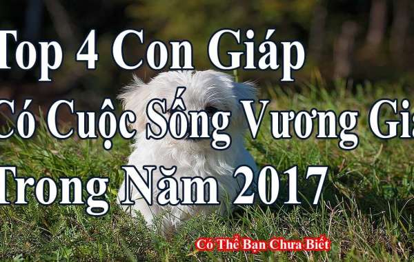 4 con giáp không hề sợ tháng "cô hồn", mà còn may mắn ngời ngời luôn ấy