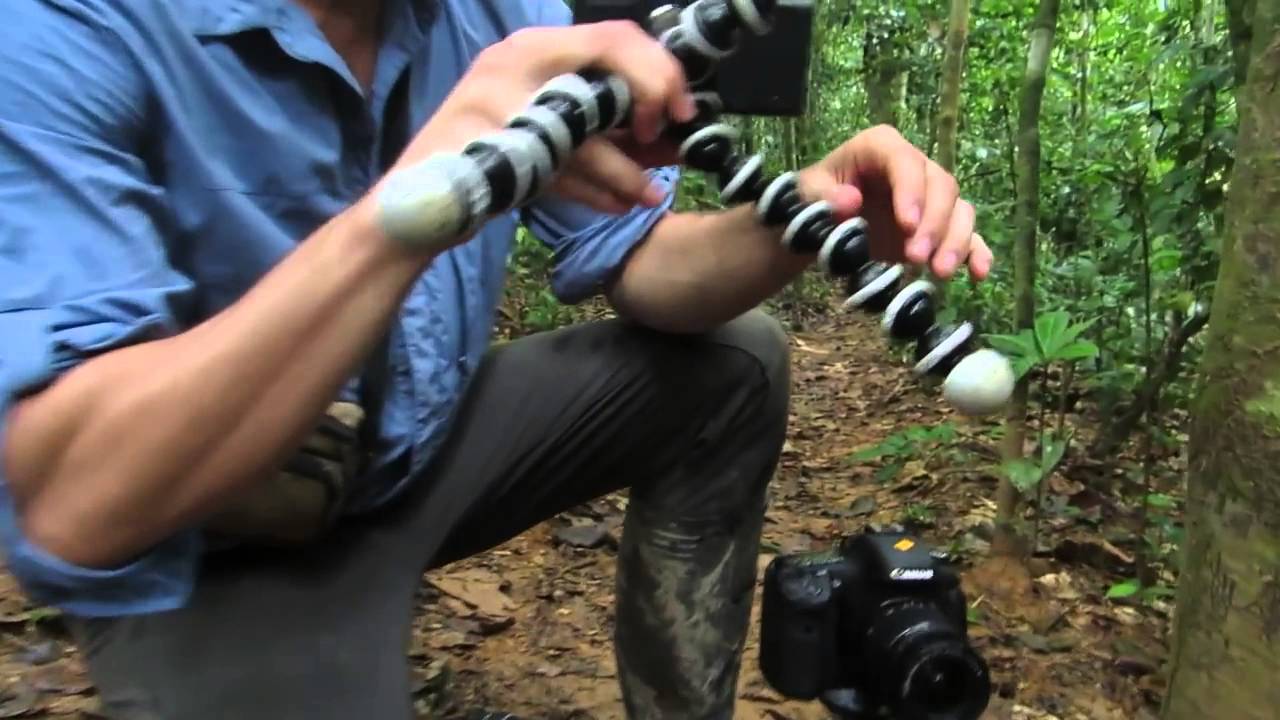 How (Not) to Camera Trap in the Amazon Rainforest