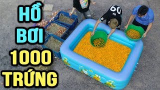 ?TXT - TẮM HÔ BƠI CÙNG 1000 QUẢ TRỨNG GÀ | TẮM TRẮNG BẰNG 1000 QUẢ TRÚNG GÀ