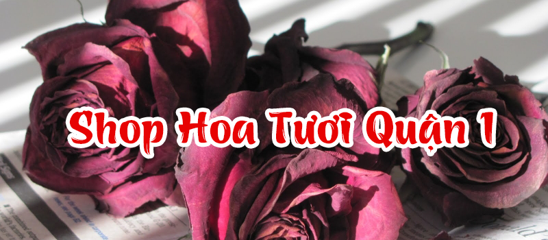 Shop Hoa Tươi Quận 1 TPHCM ( Giao Hoa Siêu Tốc ) Giá Rẻ