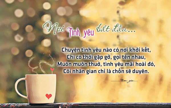 Nơi Tình Yêu Bắt Đầu