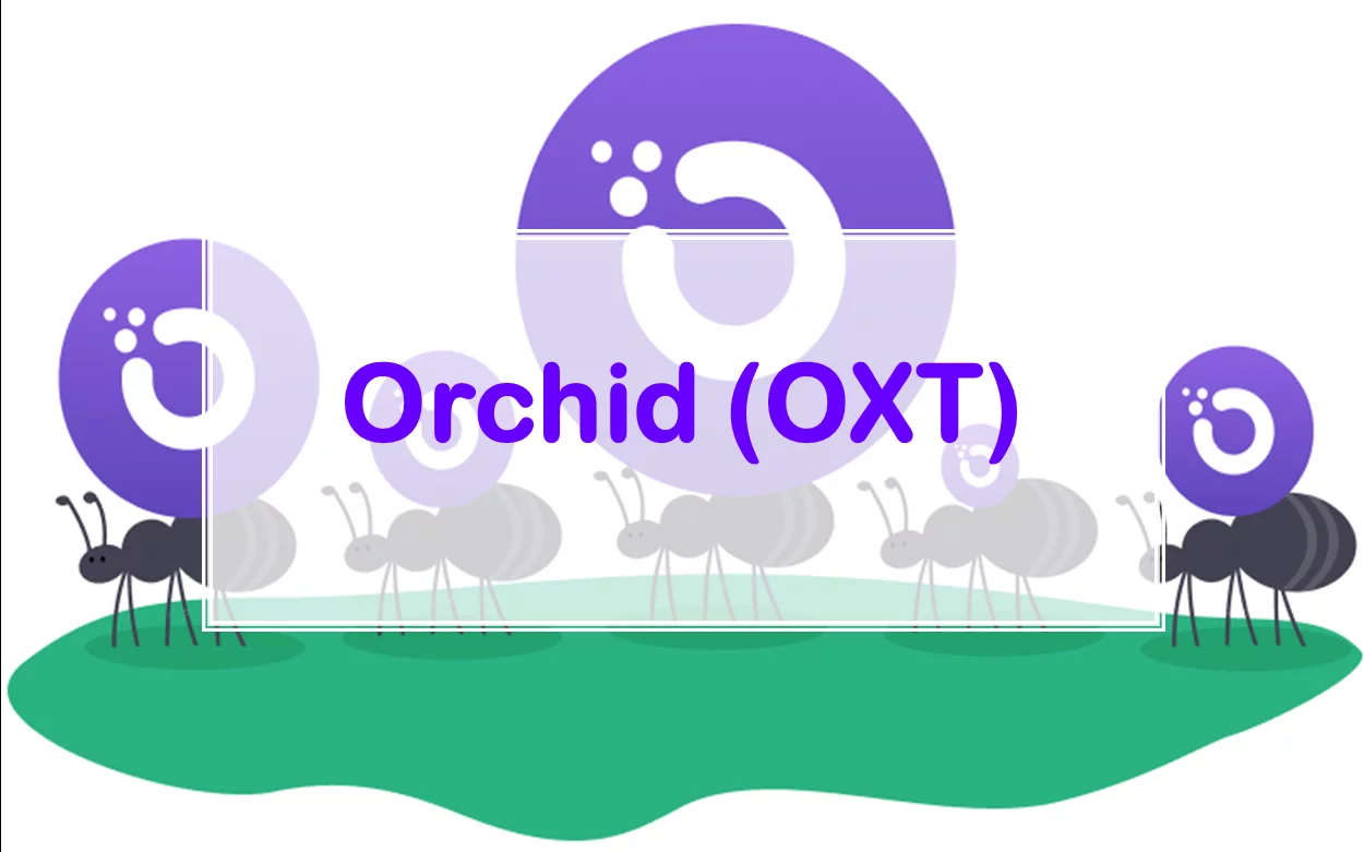 Orchid (OXT) là gì? [Thông tin chi tiết về đồng tiền ảo OXT] 2020