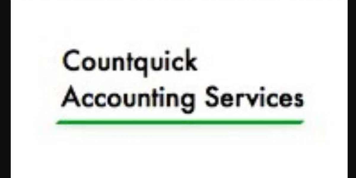 Kinds of Accounting Services Firms Accessible to Businesses