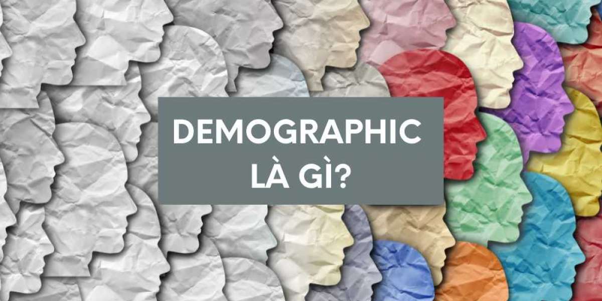 Demographic là gì? Tìm hiểu Demographic trong Marketing | Nhân khẩu học