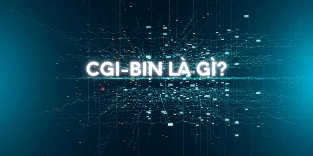 cig-bin là gì? Cách vào thư mục gốc của website mới nhất