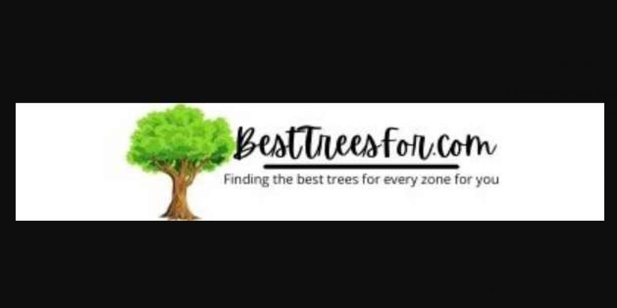 Select the ideal Tree For your Yard