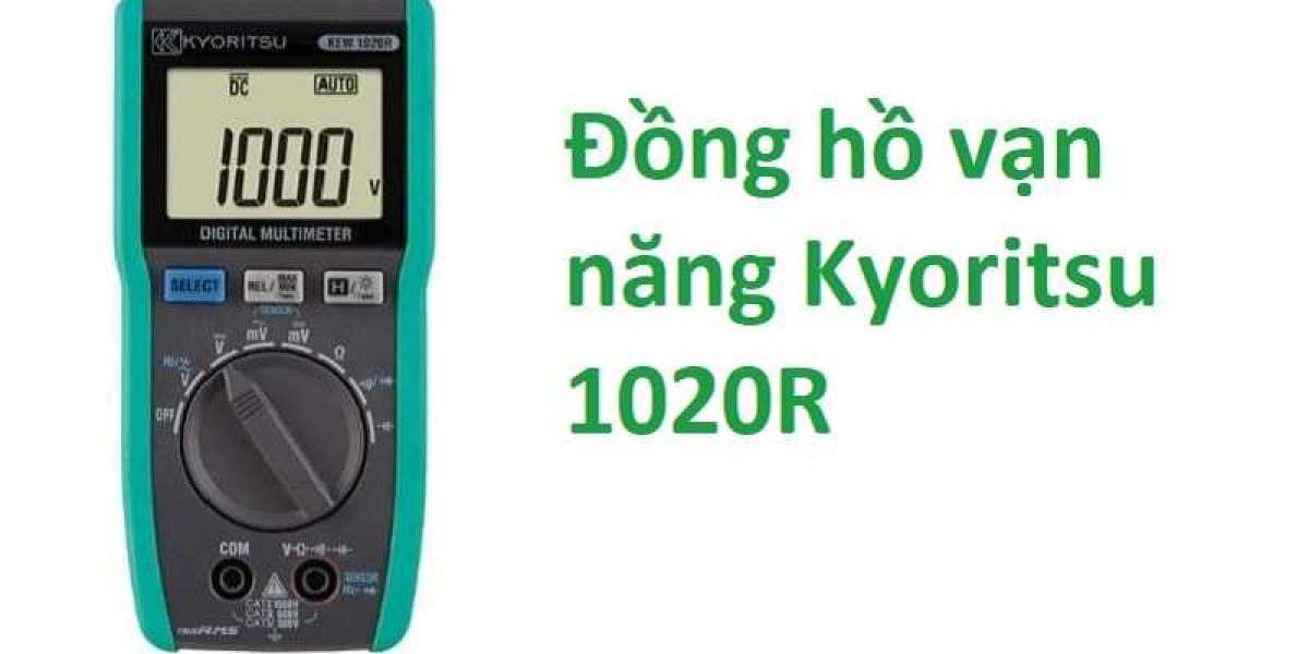 Đồng hồ vạn năng kyoritsu 1020r