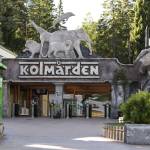 Kolmården Zoo (Sverige)